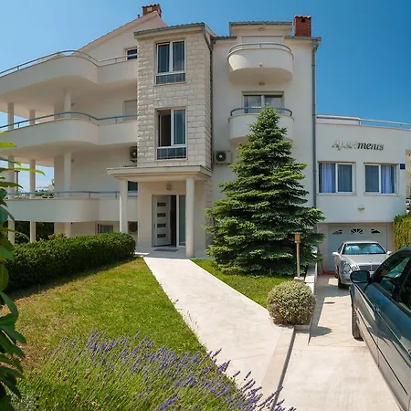 The & * 스플리트