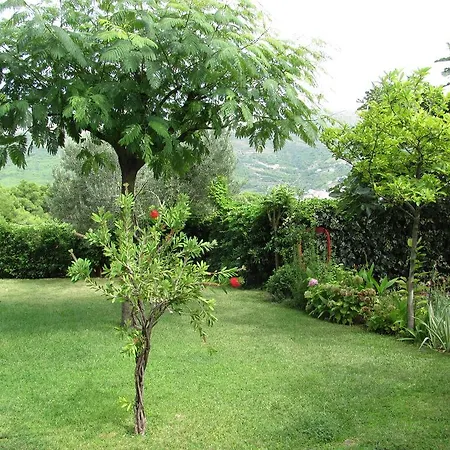 The & דירה ספליט